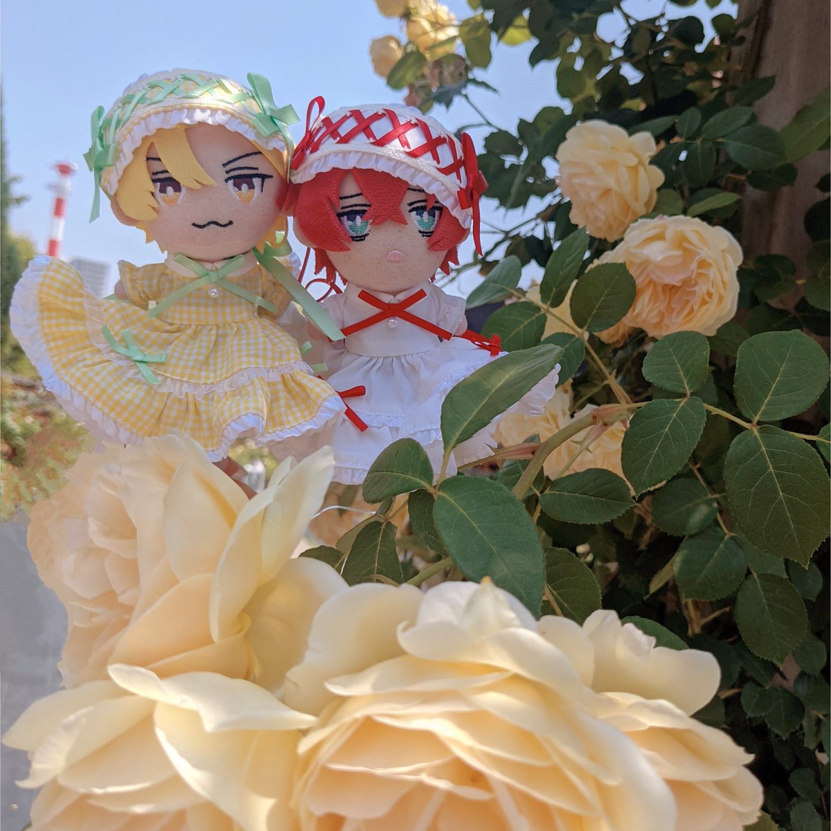 cha_nok1's tweet photo. 素敵なドレスを着て薔薇園へ🌹🌹

ぱおさん(@mochi_osanana)作のドレス
かわいすぎてお気に入り💖 https://t.co/nHa3QW1ZOs