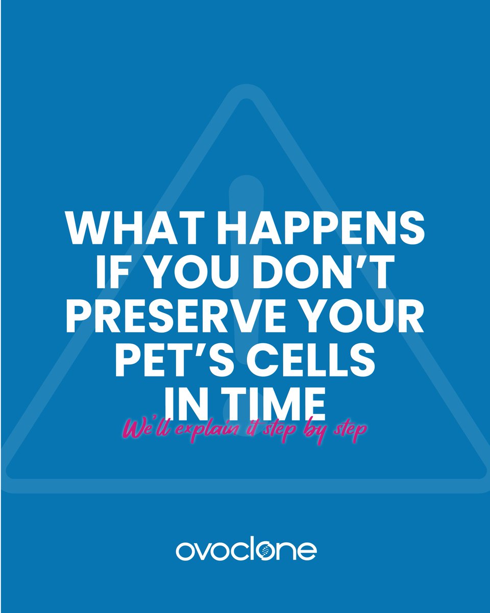 ovoclone's tweet photo. Pet cloning begins with cell preservation. 🧬

Without viable cells, future cloning won't be possible.

Preserving your pet's cells today doesn't mean choosing cloning—it means keeping that possibility open for tomorrow.

#Ovoclone #PetCloning #GeneticPreservation #Pets https://t.co/fov6OfxNuj