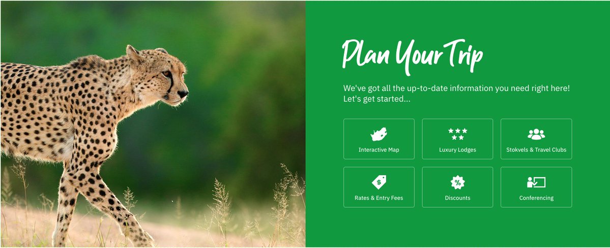 GovernmentZA's tweet photo. Plan Your Trip. We've got all the up-to-date information you need right here! Let's get started...
Click 👉 https://t.co/BsZhSMkiPT #LiveYourWild #ExploreSA #SafariExperience #TravelSouthAfrica https://t.co/Inl4qsGBPa