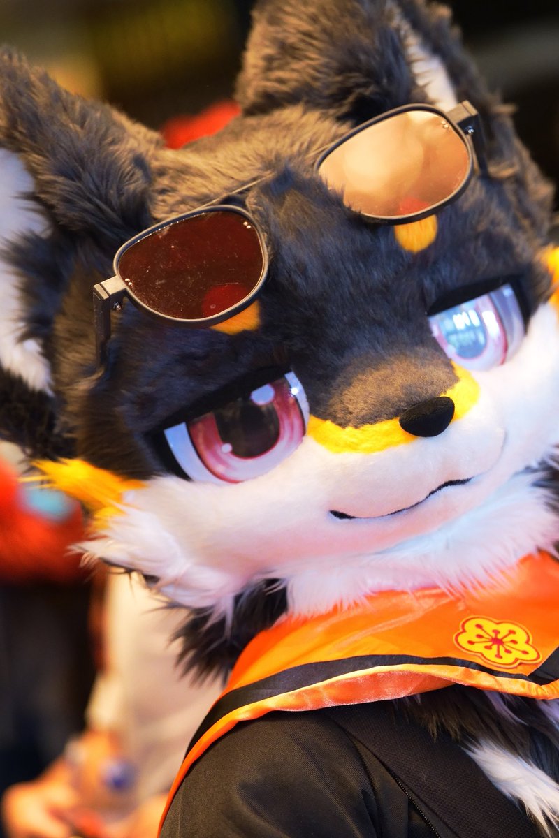 Kohaku_Noodles's tweet photo. わんこ🐕🐾

📷Thomas Ho https://t.co/s2WmCDLtju