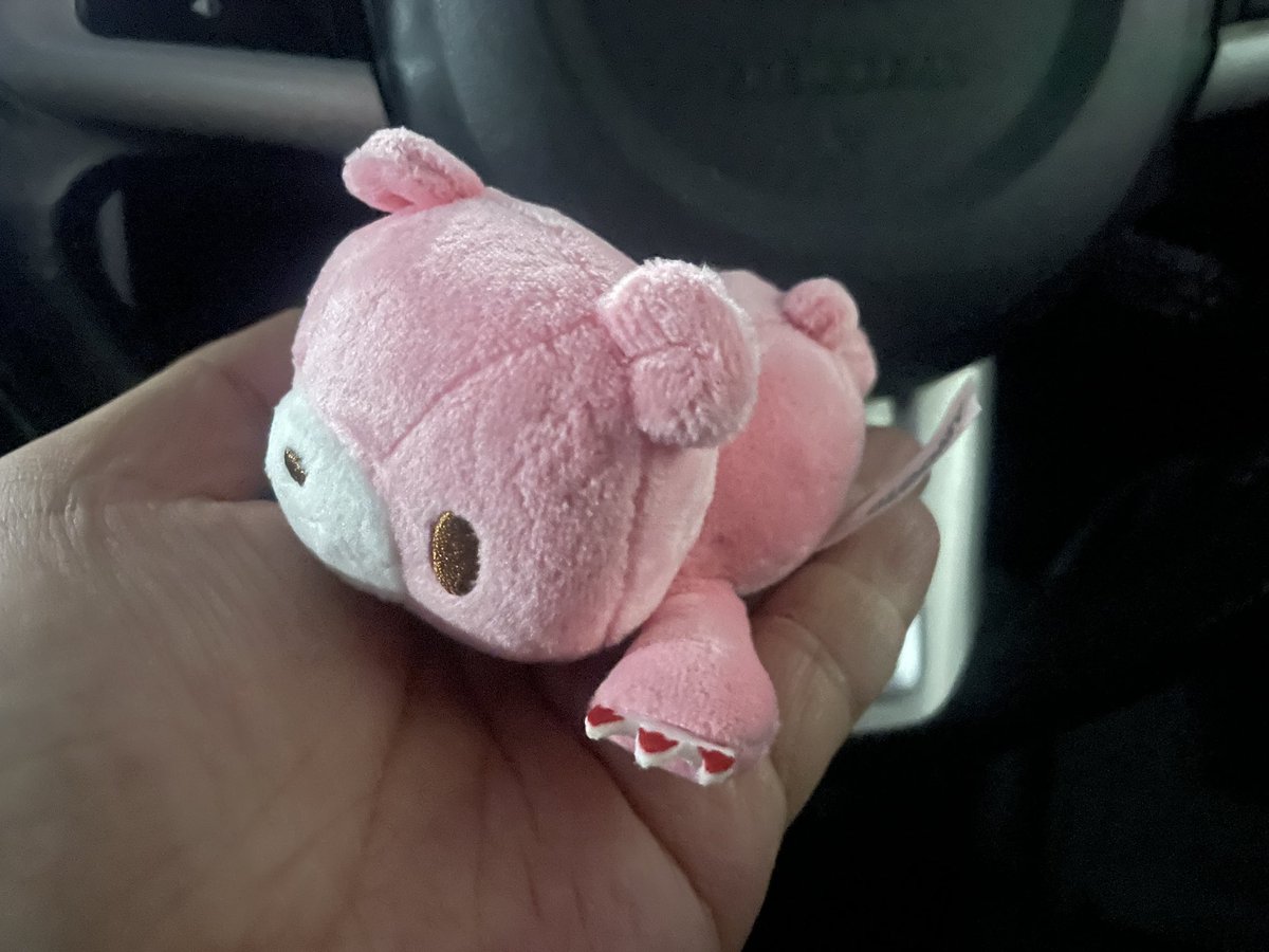 dai_etran's tweet photo. 結構良い大きさ🐻 https://t.co/zRugbrkc6P