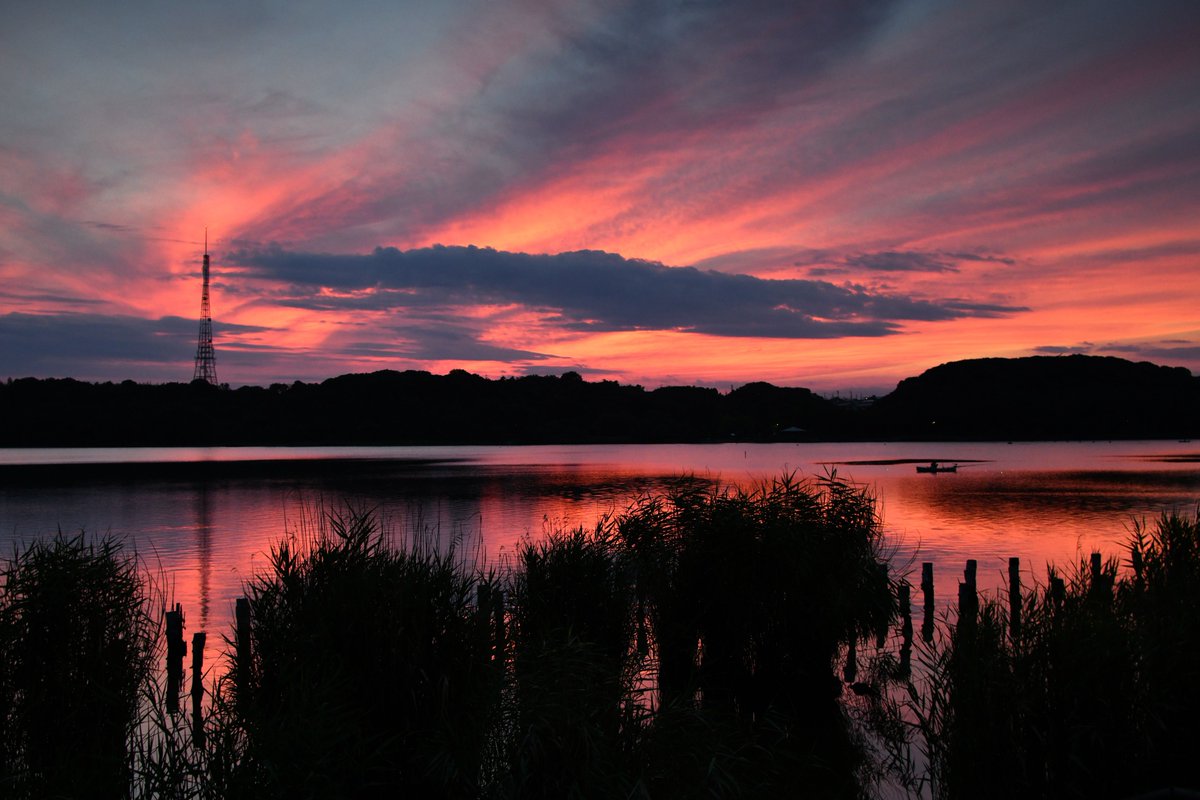 kawaiihanachiya's tweet photo. 2026年7月3日
佐鳴湖の夕暮れ
July 3, 2026
Dusk at Lake Sanaru https://t.co/JgXCrrm6gC