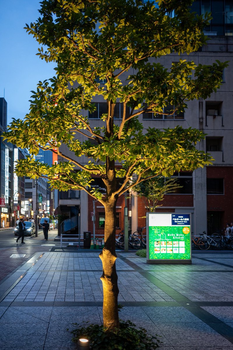 alternativeorca's tweet photo. Nikonの26mm単焦点買っちったわ
少々値は張ったが出来が���晴らしい
画像は日本橋をぶらぶら歩いたときのやつ https://t.co/QrW78fCPeK