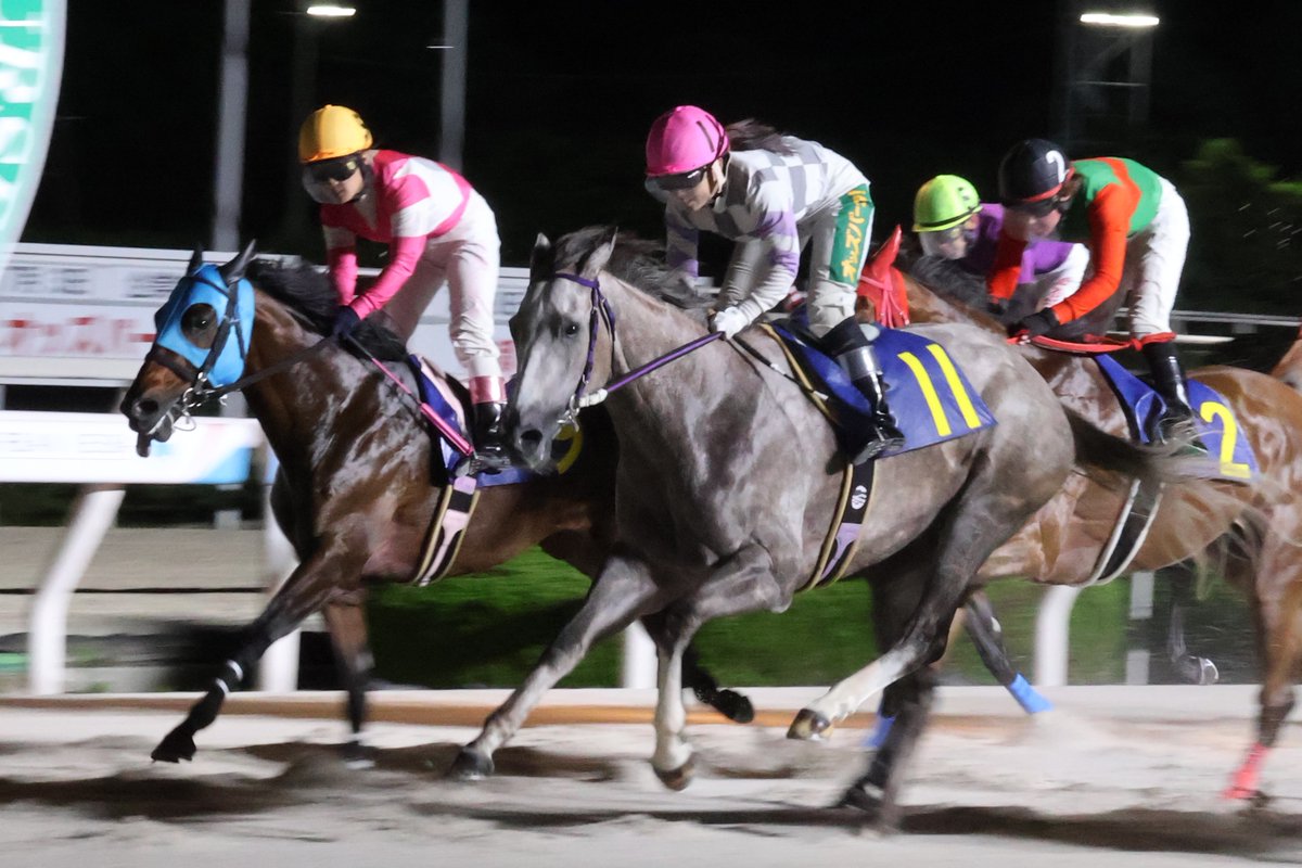 hochichihokeiba's tweet photo. 【阪神アーバン競馬】園田競馬

最終12Ｒで佐々木世麗騎手が本日２勝目！
レイチェルペガサス（坂本和也厩舎）に騎乗し、直線伸びて混戦を制しました。
勝ち星も47勝に伸ばし「47」ポーズでニッコリです

２着には塩津璃菜騎手のブリリアドロが入り、女性騎手のワンツーでした

#佐々木世麗
#レイチェルペガサス
#坂本和也