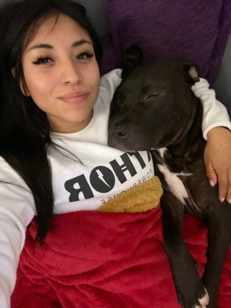 knottymaria22's tweet photo. Dm me https://t.co/zzDUoHo23R
https://t.co/shivnaFkx1 
💖💖💖
#zoophillia #zoosarevalid #beastiality #zoophiletwt
#dogknot #zooprideisvalid #zoophile #hypnotistzoophilesarevalid #zootwt #zoopositivity #uk #germany
#grope #Pardi #jjk242spoilers #cowboys https://t.co/fAPPkbkfGC