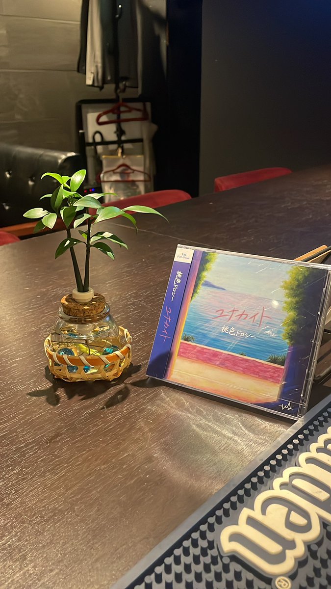 Noristation1990's tweet photo. 大好きな横浜のお客さんから
推しのCDいただきました、
この前からハマってます
今日のBGM桃ドロです！

[Cafe&amp;Bar Stella]
神戸市中央区中山手通1丁目7-10 上田第二ビル3F東号
Tel 078-381-8500

#桃色ドロシー https://t.co/TJIo7OEgrf