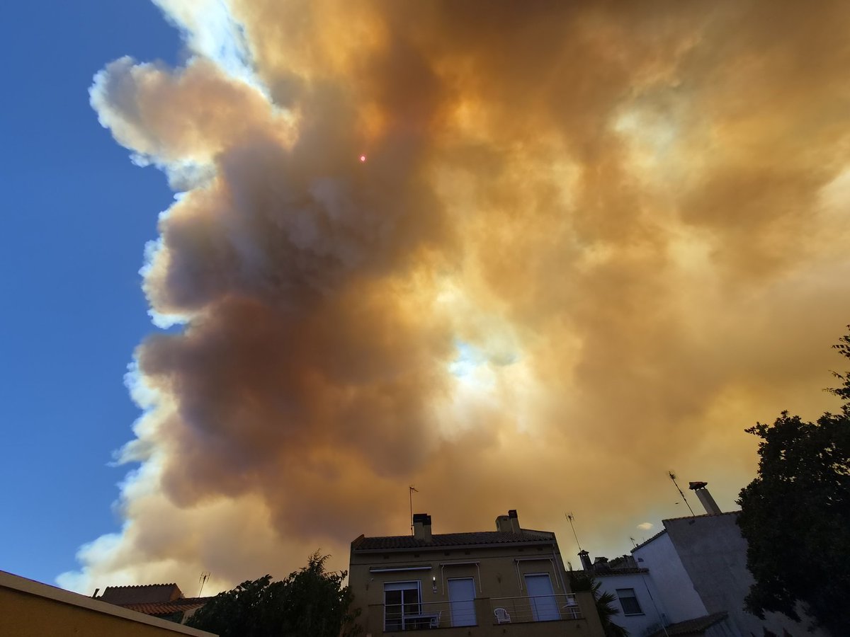 027Mireia's tweet photo. incendi gavarres a Calonge @3CatInfo @som3cat @meteocat https://t.co/uuLkizk744