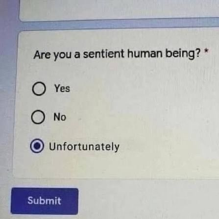 RealestMemes_'s tweet photo. https://t.co/MfPUwFzEYz