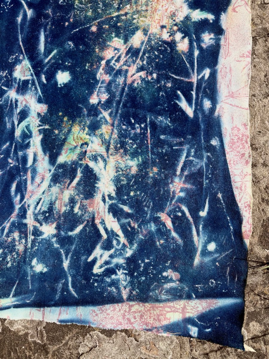 TwistsPaper's tweet photo. #cyanotype #sunprint #textileart #recycle #lavender #suffolk #papertwists https://t.co/w5BlG8GEVA
