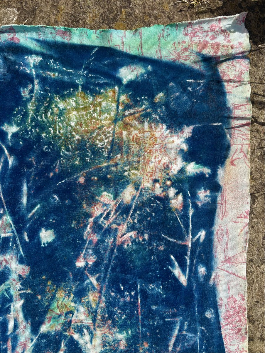 TwistsPaper's tweet photo. #cyanotype #sunprint #textileart #recycle #lavender #suffolk #papertwists https://t.co/w5BlG8GEVA