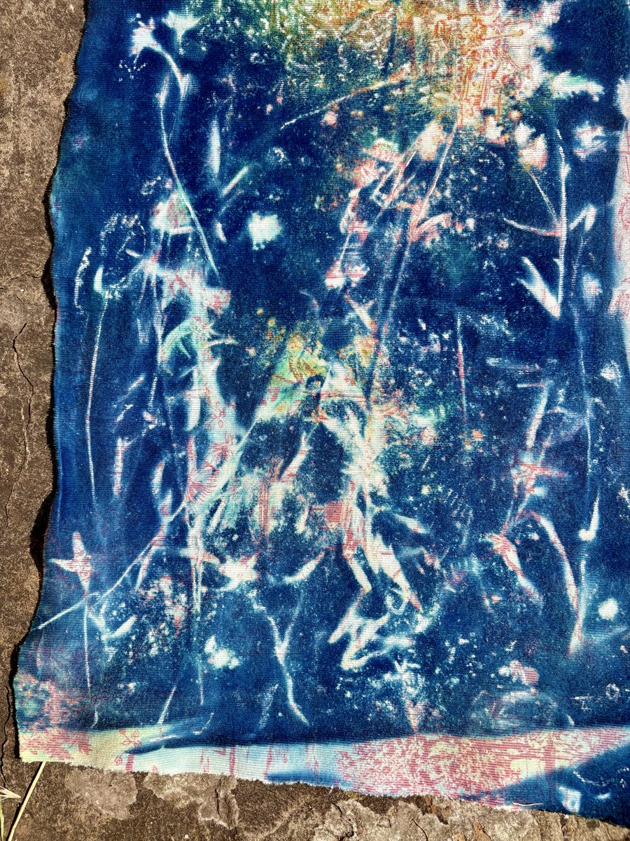 TwistsPaper's tweet photo. #cyanotype #sunprint #textileart #recycle #lavender #suffolk #papertwists https://t.co/w5BlG8GEVA