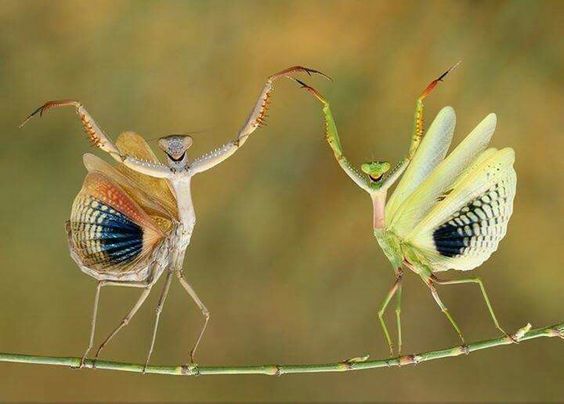 njeastman's tweet photo. Happy #TGIF #TwitterFriends !
Messages of Welcome & Appreciation
Accompany my pics
This morning .....
Will you receive one ?
~ https://t.co/Nwy55v7SNy