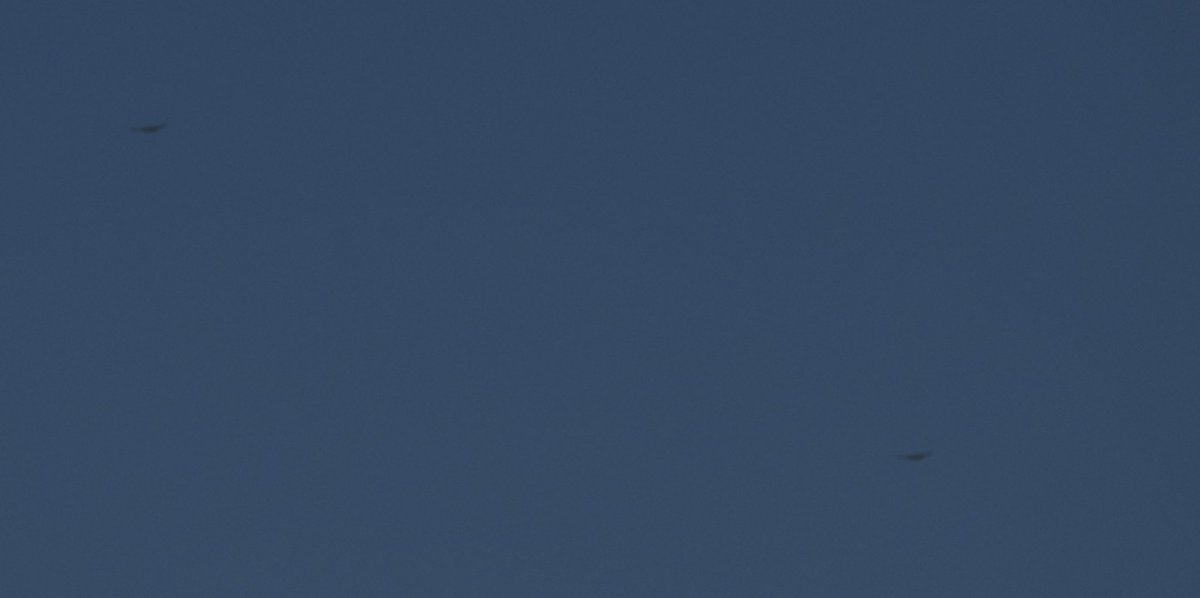 JerredEJohnson's tweet photo. GM a little flyover before Independence Day.   If you pinch and zoom you might be able to see them. https://t.co/tyoazbmK8f