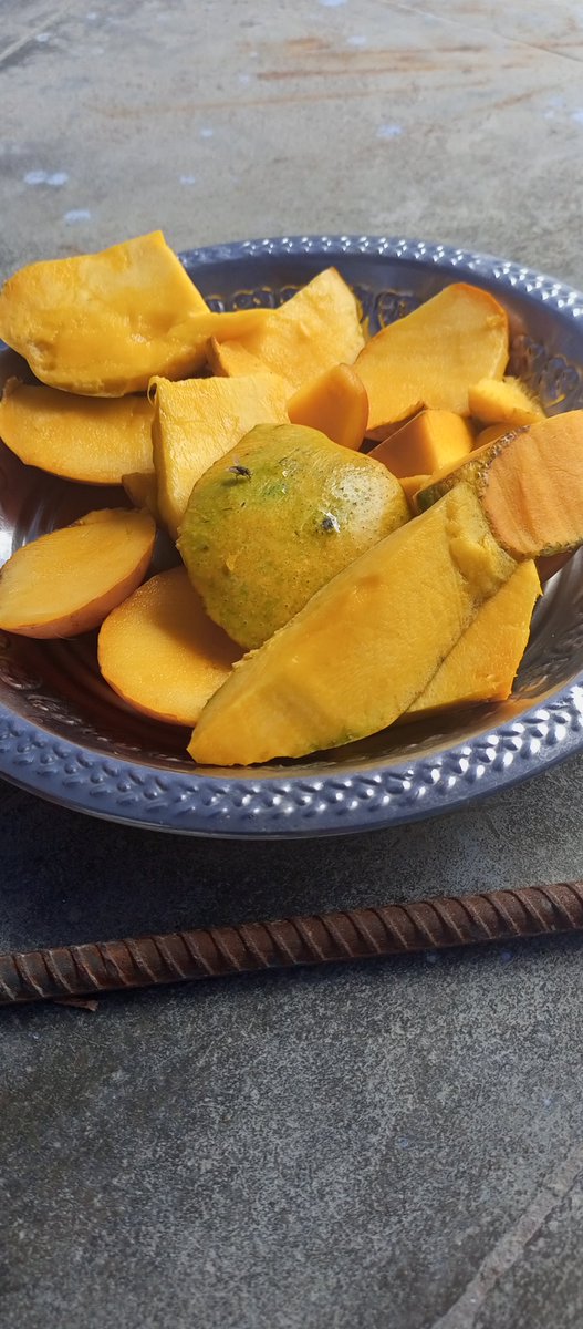 Prabha_Mente's tweet photo. #GoodEvening 🥭 #SnackTime 🥭
Drop💧ur #FruitTwitter 🥭
முக்கனி ல மொத ஆளு 🥭மா..🥭
QT/RT🍽Because a #Conversation about "இரும்பு அடிக்��ிற இடத்துல E 🪲ku enna vela? https://t.co/ze9UU10fi4