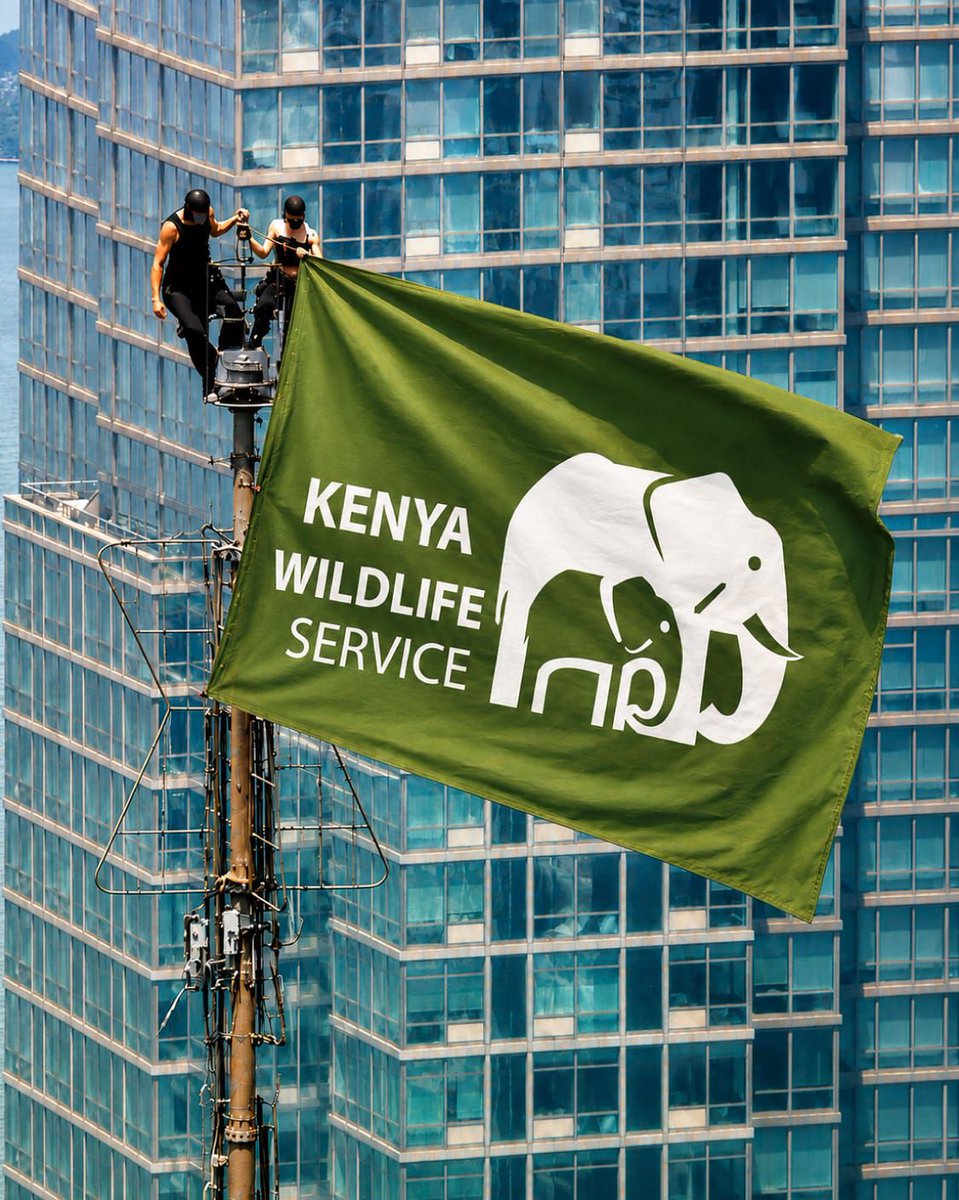 KWSKenya tweet picture