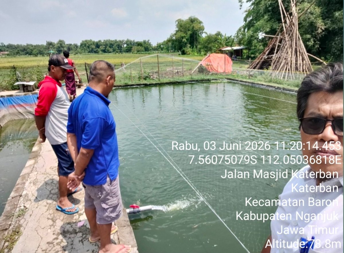 SusantoBambs's tweet photo. Rabu, 03 Juni 2026. Bambang Dwi S Luhkan Nganjuk kegiatan penyampaian materi informasi dan praktek penerapan Cara Budidaya Ikan yang Baik di Pokdakan Berkah Ikan Ds Katerban Kec Baron https://t.co/5igfKossAW