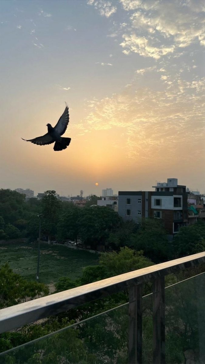 chaman18608's tweet photo. Good Evening X Family 🌷
شام ڈھل رہی ہے، دعا ہے کہ
اللہ آپ کی ہر پریشانی آسان فرمائے،
آپ کے دل کو سکون عطا کرے
اور آنے والی رات کو رحمتوں سے بھر دے۔ 🤍✨
#اردوزبان https://t.co/uKdxgSDy7N