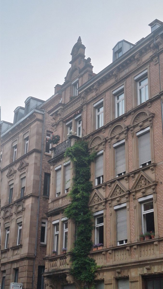 mauls_tea's tweet photo. @vronskies I live in Germany and I regularly take photos of buildings in the city I was born and raised in bc I think their pretty so dw girl https://t.co/PyOpirgMXW