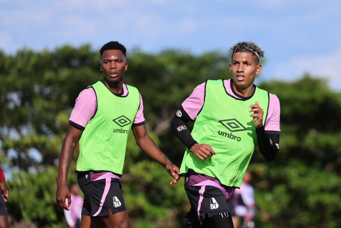 cdtolima's tweet photo. Pretemporada PIJAO 2026-2 🦾🐽 https://t.co/5bH0cZYNtL