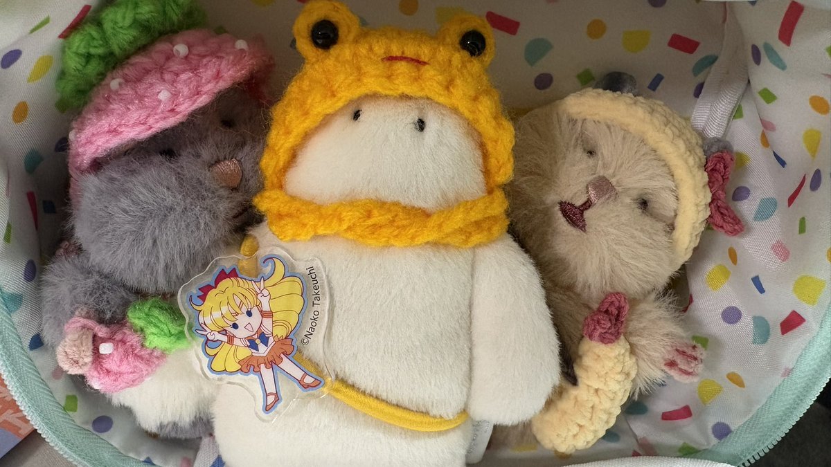 funiodayoo's tweet photo. @Funi4545 (横からすみません)
えぇ、香川ぁ！？
パヤパヤの飼い主がいるとこだよぉ！！ https://t.co/Qz7lFM8OSb