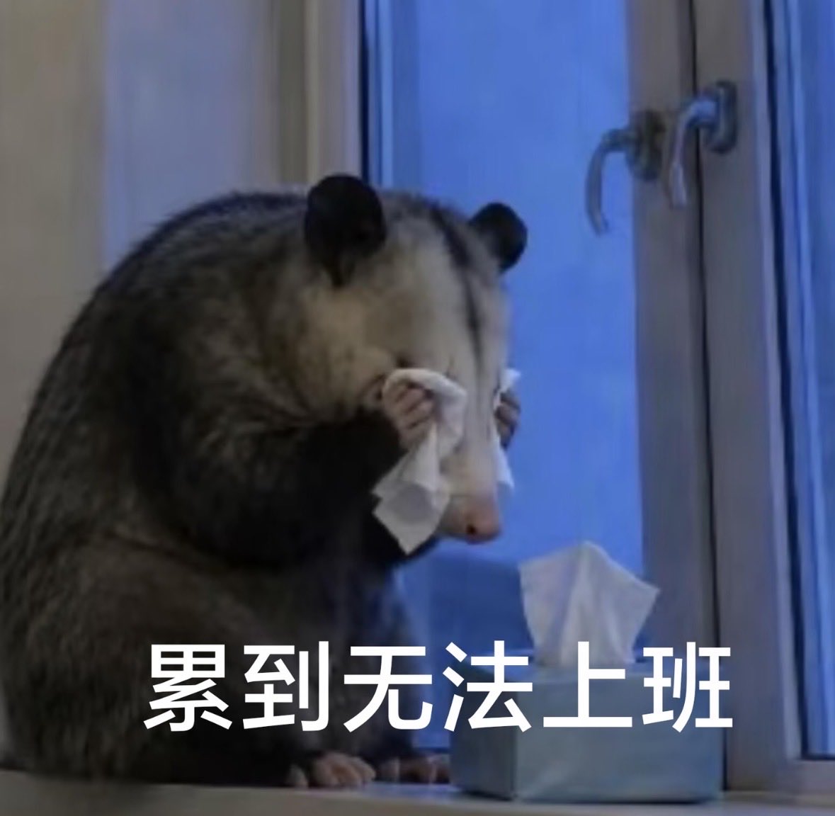mialiami's tweet photo. 好累
整个人老了好多 https://t.co/bGqFz3wfyJ