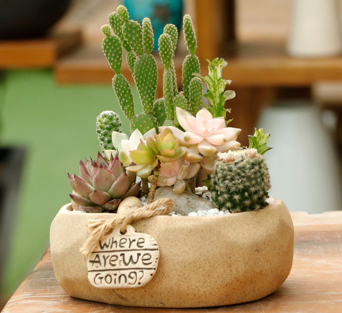 LSulaikho's tweet photo. DIY alert! Turn old glass jars into cute indoor planters for succulents—save money u0026 reduce waste  #UpCycleHome， https://t.co/0vEc6mTt4G