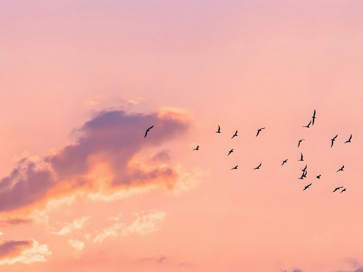 ☁️ tweet media