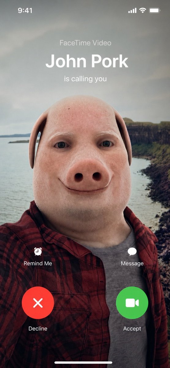WFshinecrypto's tweet photo. @mrpunkdoteth g🐽d morning mrpunk https://t.co/KYt09kxqCS