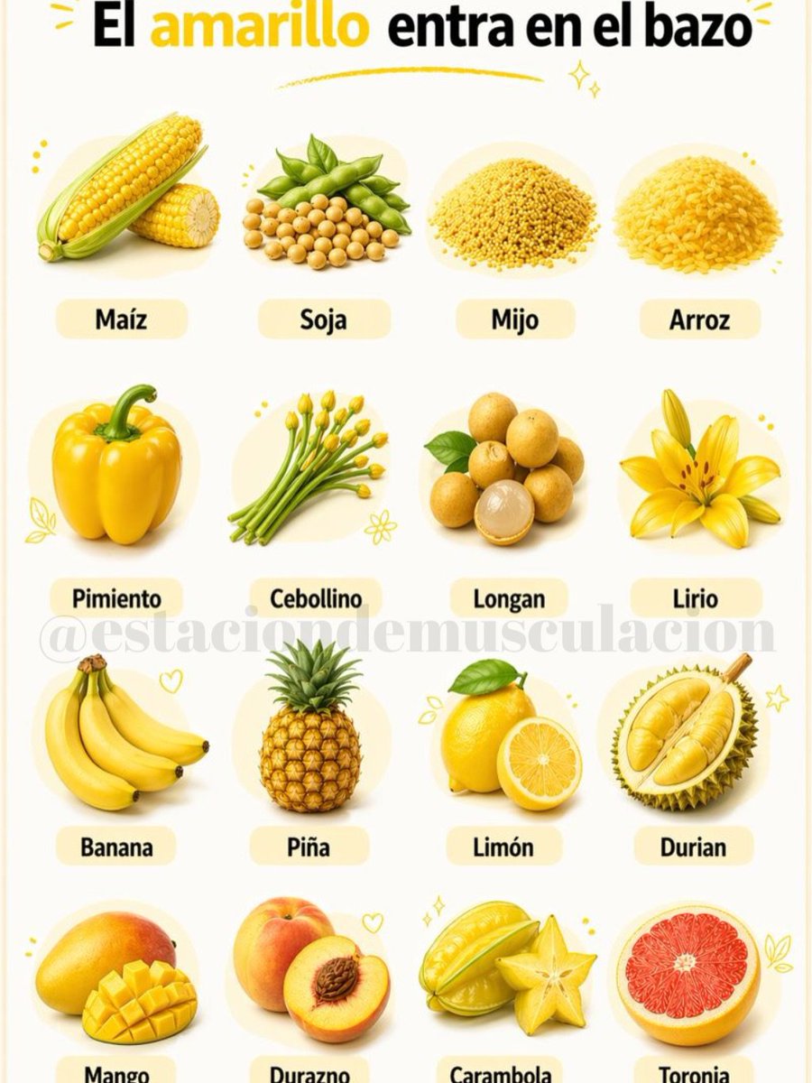 SumaYVive's tweet photo. →El amarillo entra al bazo https://t.co/gOX4KwkCrx