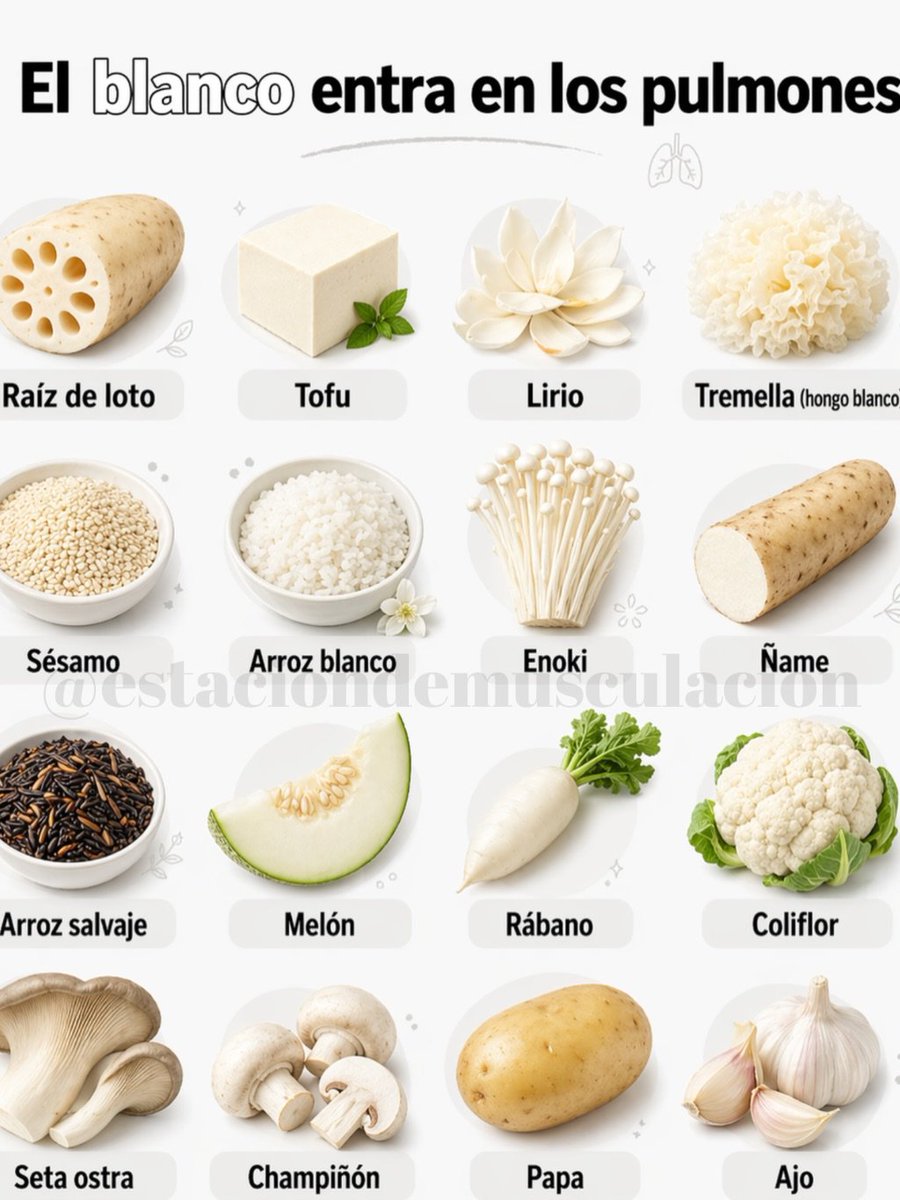 SumaYVive's tweet photo. →El blanco entra a los pulmones https://t.co/YkRllF4Cfo