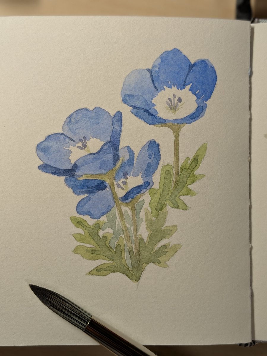 arimac02's tweet photo. 今日の水彩🎨 https://t.co/zpS6HuQO1U