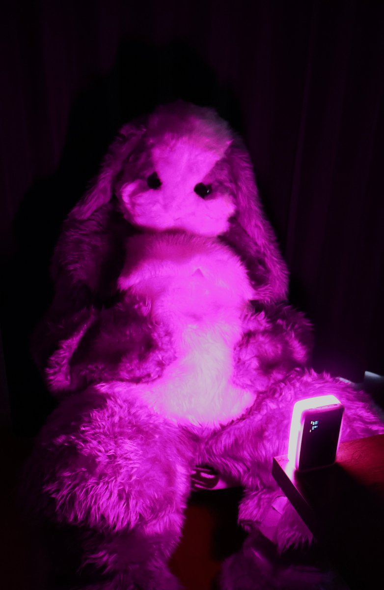 ネオンピンクなうさぎ 📷@mizuna_rabbit #FursuitFriday
