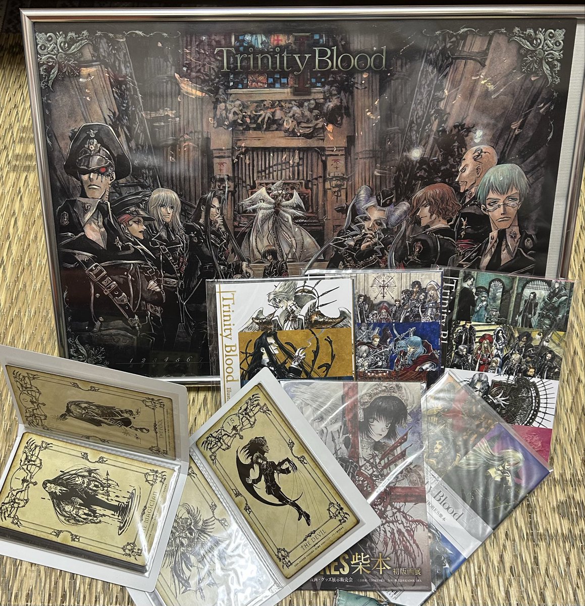 RT @fukunishi23: そいやっ！ これが私のTHORES柴本先生コレクション
