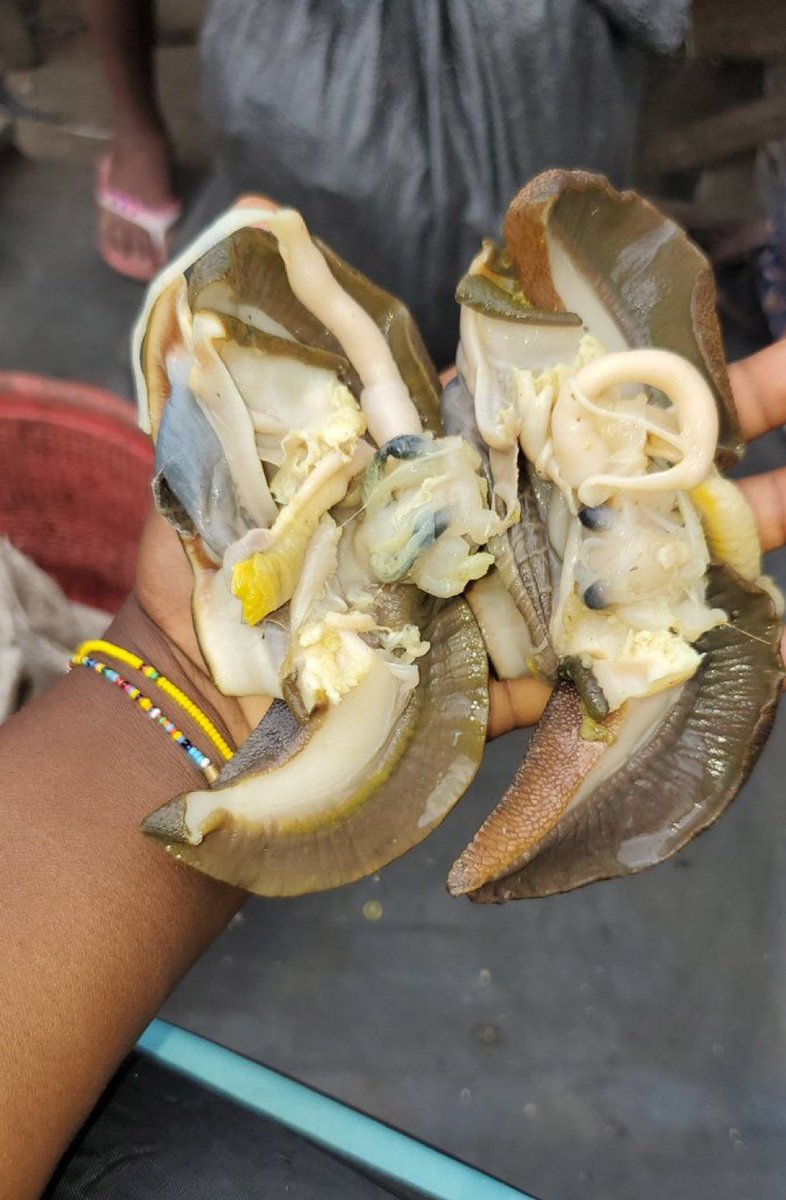 AdenikeOmolar11's tweet photo. How do you like your snail, juicy or dry ? https://t.co/VIA1E9Qc8a