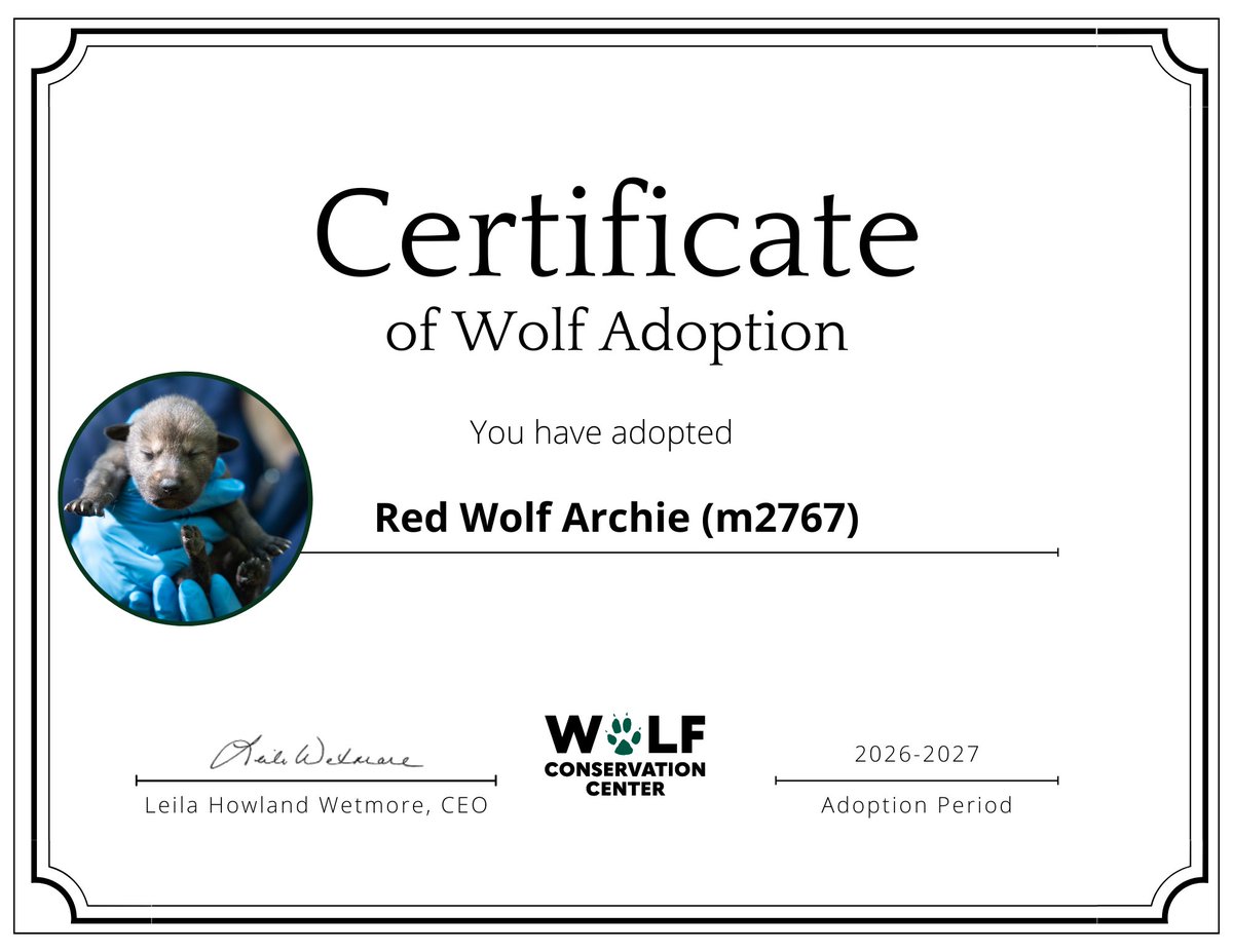 bring back little wolf !! tweet media