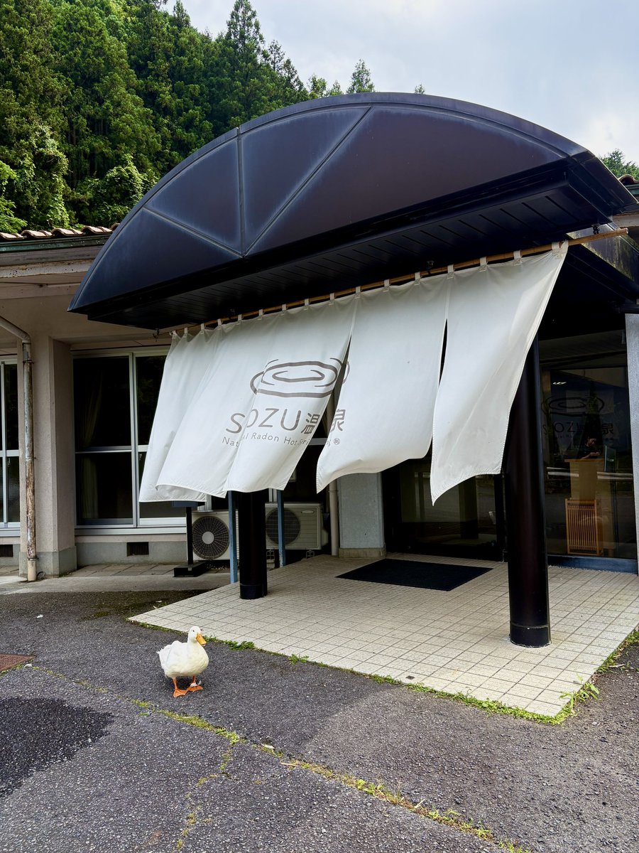 UWhispering's tweet photo. とにかくね
此処の温泉施設は
スタッフさんとお客様の
距離がめちゃめちゃ近い。
ピータンも結局、スタッフみんなに遊んで貰ったよ。 https://t.co/bDiOqaUyE7