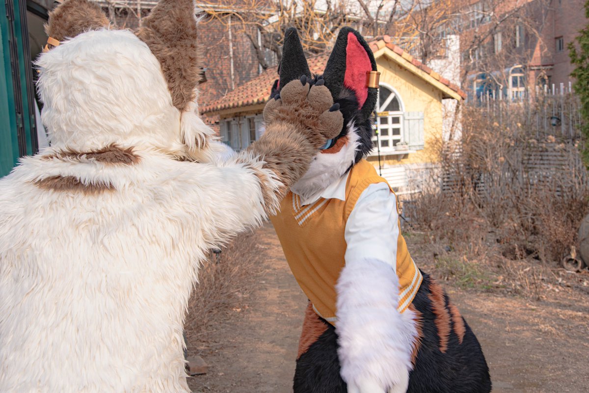 Bobchaaaa's tweet photo. #Fursuitfriday
#Fursuit
シャンプーーーーーーーーーーーーーーーーーーーーー https://t.co/qZkbybG47J