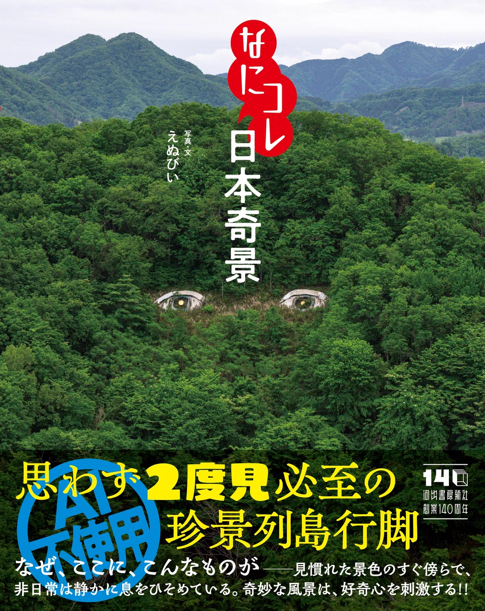えぬびい✴︎『なにコレ日本奇景』全国書店にて発売✴︎ (@enuenuenubi