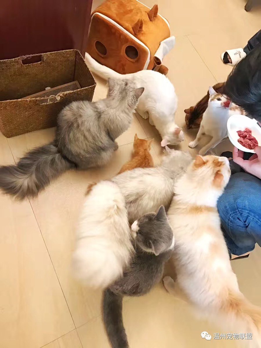안정민 tweet media