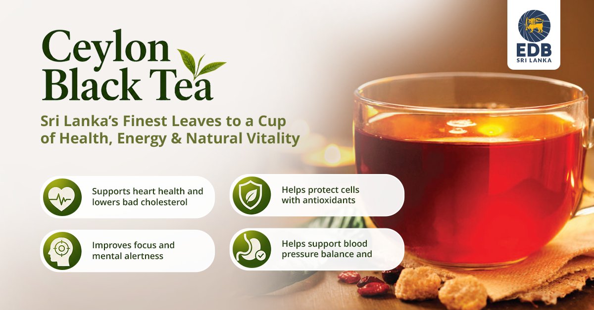 EDB_SriLanka's tweet photo. Ceylon Black Tea from Sri Lanka delivers natural energy, heart support, and overall wellness in every cup✨ For more info:https://t.co/ja1rU7vAxd
#CeylonBlackTea #SriLankaTea #CeylonTea #TeaBenefits #HealthyLiving #NaturalEnergy https://t.co/Ljue5a5ouf