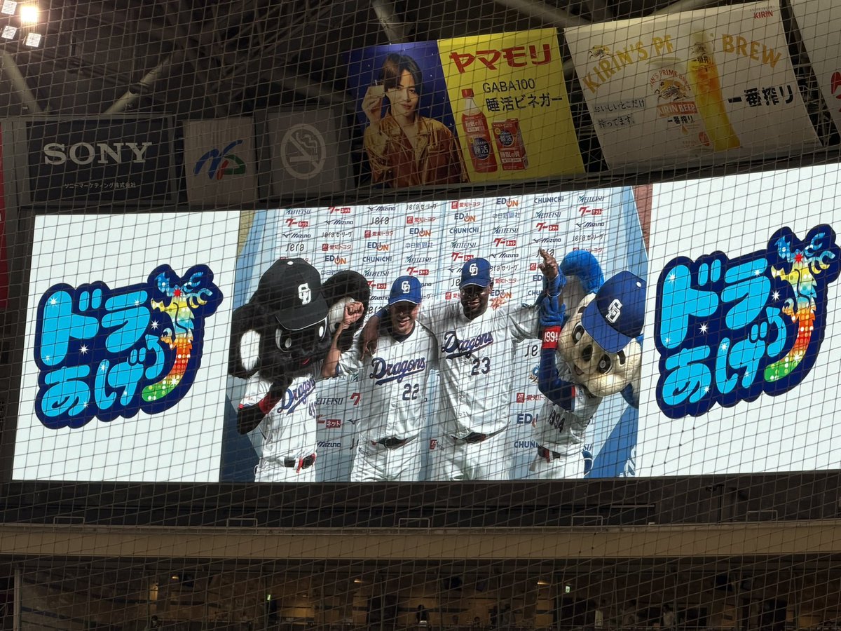 mnm_cd's tweet photo. どらほー🐨💙🙌
カトちゃんぺ！ https://t.co/yl0pQewZoD