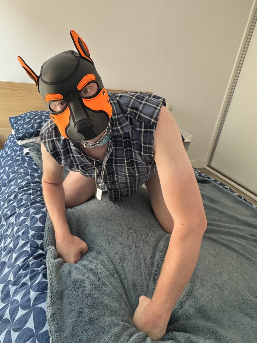 itspuprunt's tweet photo. Playing on the furniture whilst my hooman works from home
#goodpupper #goodboy #downboy #pupplay #pupplaycommunity https://t.co/922987sStB