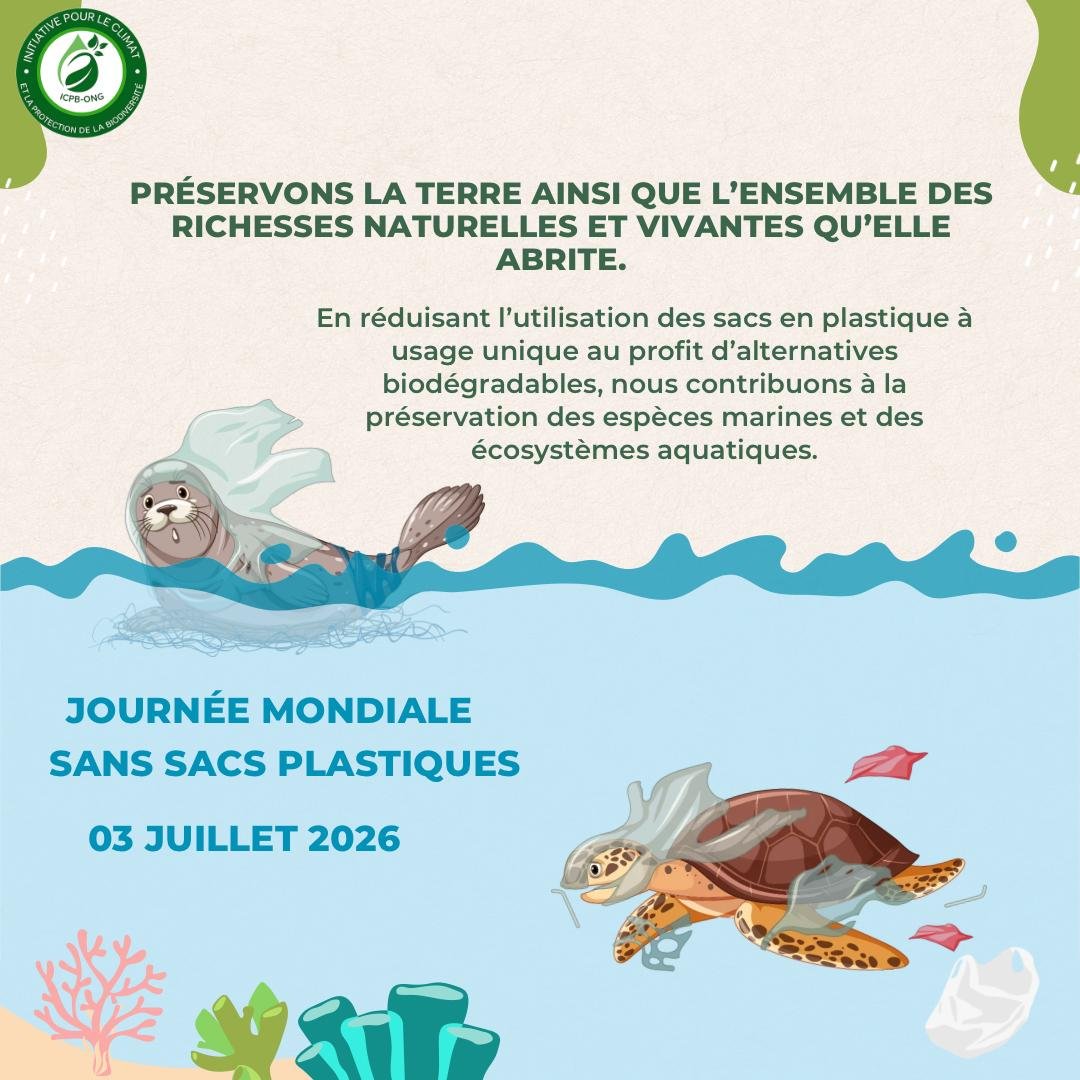 Icpbong's tweet photo. 🌍 Un sac plastique est utilisé quelques minutes, mais pollue pendant des siècles. Protégeons nos rivières, nos océans et la biodiversité en refusant les sacs à usage unique. ♻️🌿
#JournéeMondialeSansSacsPlastiques #StopPlastique #ICPB https://t.co/1qKq6P1qE1
