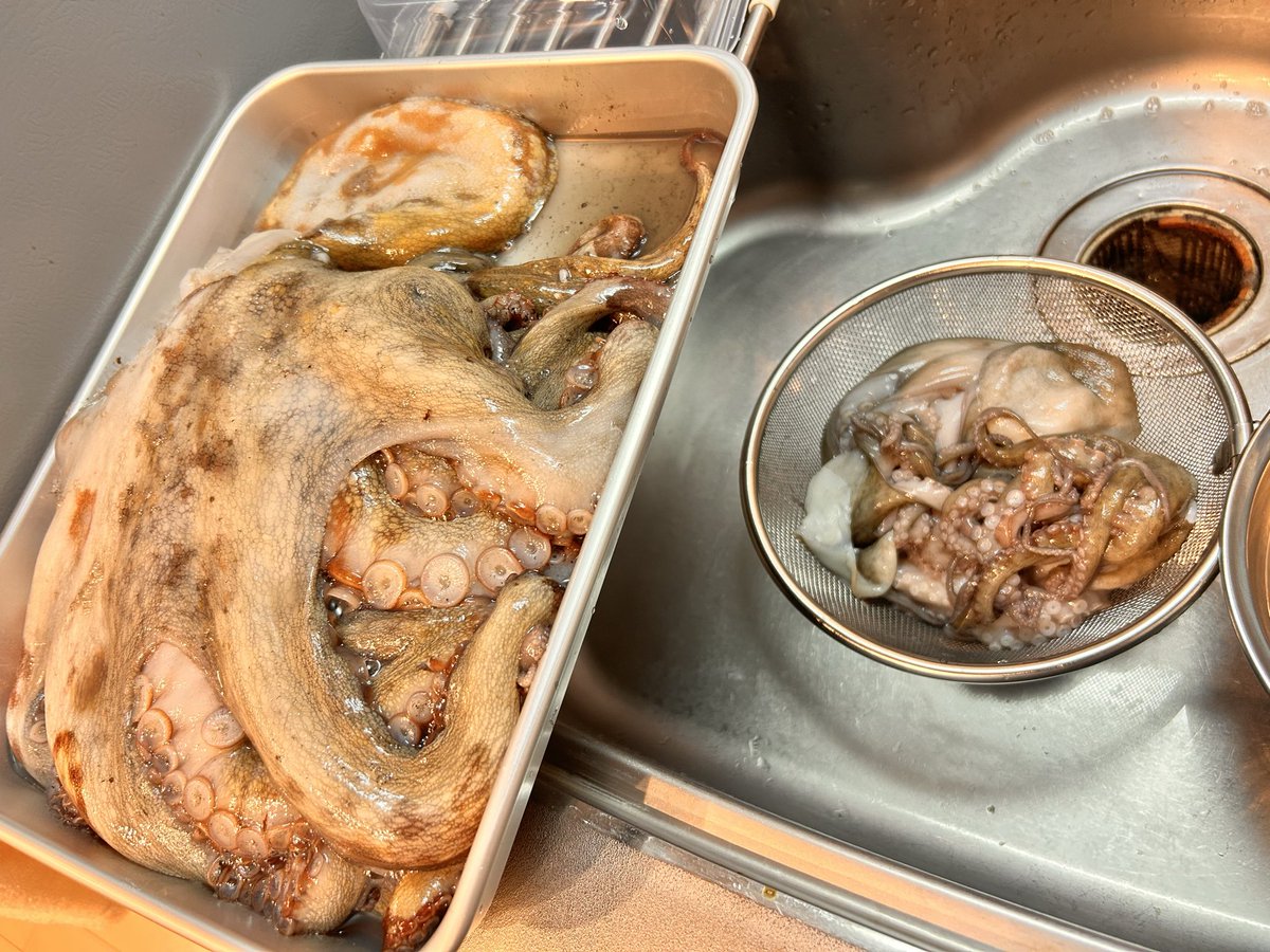 dosukoipineap's tweet photo. 終わらないタコの下処理🐙 https://t.co/ACvcaJ9dyP