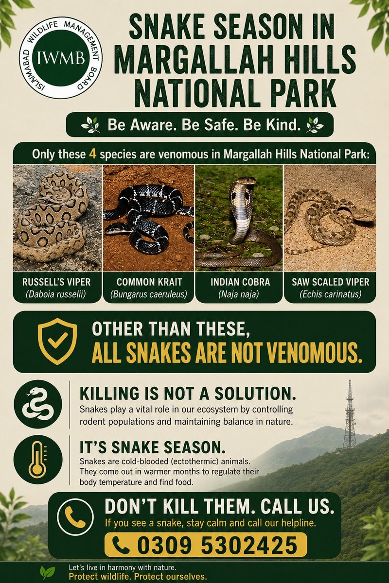 WildlifeBoard's tweet photo. If you spot a snake, stay calm 📞
Contact the IWMB Helpline: 0309-5302425
Protect wildlife. Protect yourself. Let’s coexist responsibly. 🌱 #IWMB #RespectNature #SnakeSeason https://t.co/TZsACtfMKC