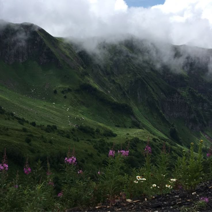 elemmiressoul's tweet photo. tranquility. https://t.co/iHhC9nUpkp