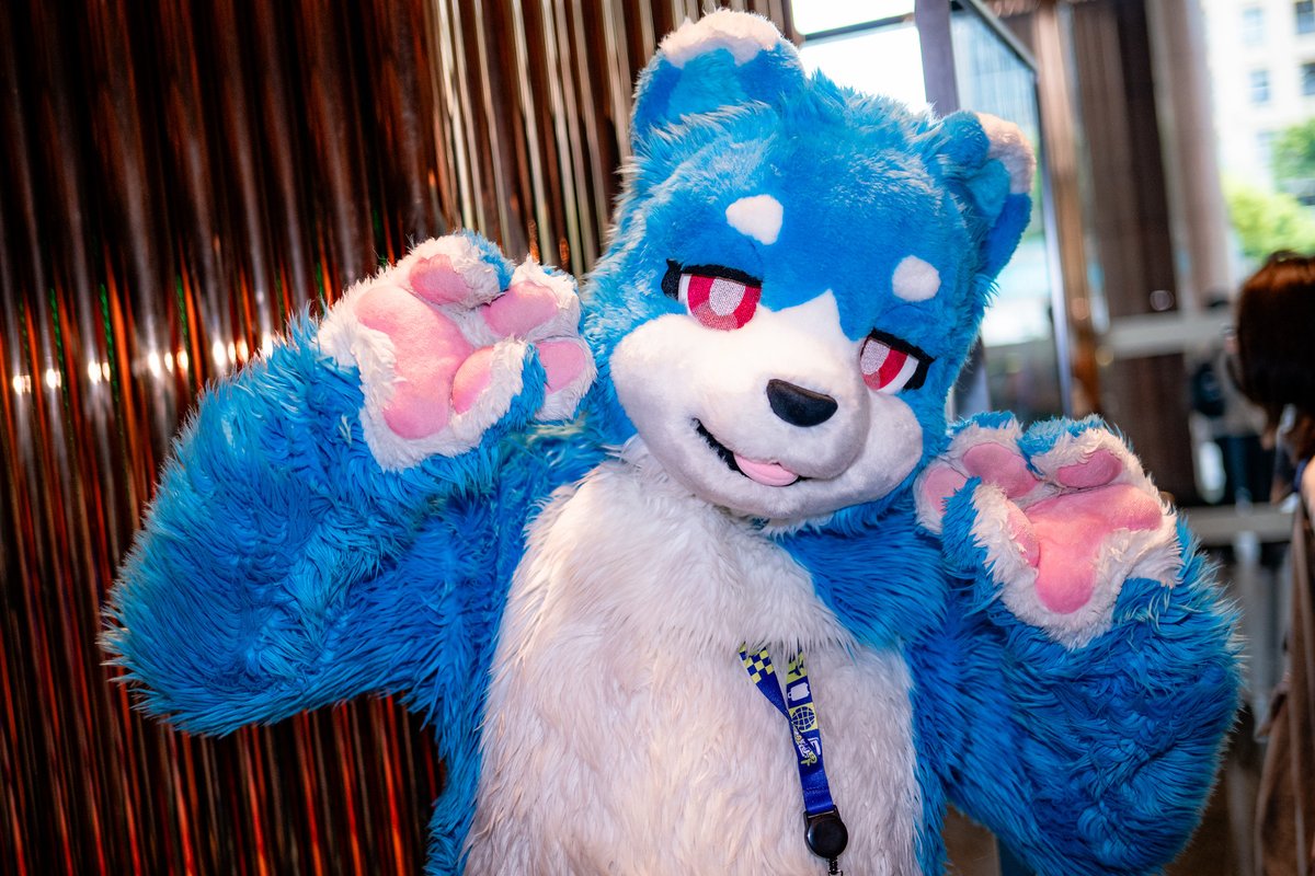 panda_furry0330's tweet photo. 🖐️ʕ ᵔᴥᵔ ʔ🤚

📷：@racoonwolf
🪡：@KemoTianou

#UTFG2026
#FursuitFriday https://t.co/oa1LE7zNAO