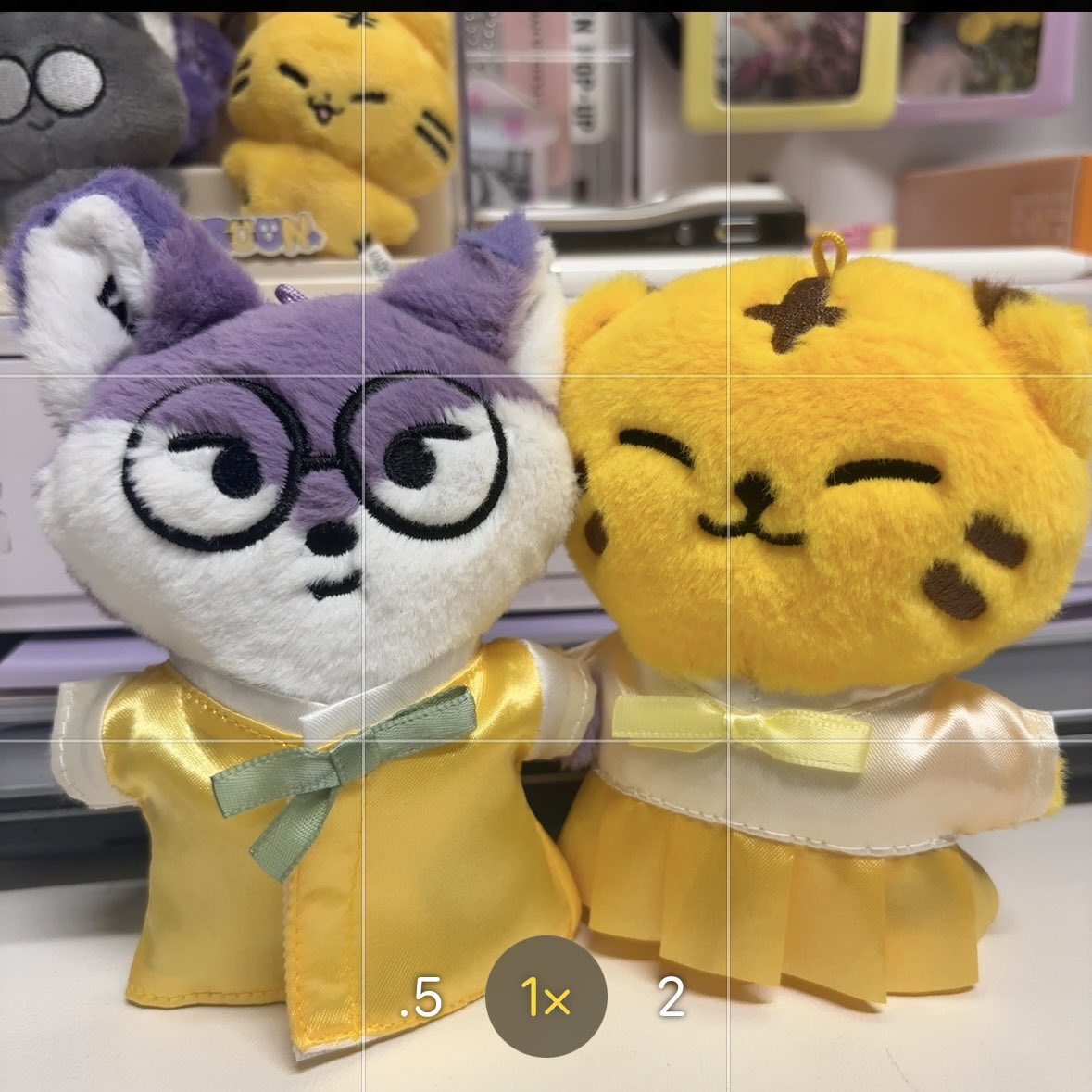 nzjwsh's tweet photo. ♥️! https://t.co/ScI4JgOQnG