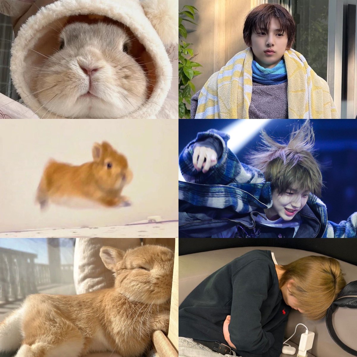 worktoobe's tweet photo. ⠀  ⠀     (\__/)
              (•ㅅ•)  ⋆. 𐙚 ˚𝓶𝔂  𝓵𝓲𝓽𝓽𝓵𝓮  𝓳𝓳𝓾 ☘︎ ˖
     ＿ノヽ ノ＼＿   
`/　`/ ⌒Ｙ⌒ Ｙ  ヽ     
( 　(三ヽ人　 /　  |
|      ﾉ⌒＼ ￣￣ヽノ
ヽ＿＿＿＞､＿／  
        ｜( 王 ﾉ〈   
        /ﾐ`ー―彡\  
      / ╰    ╯  \ / https://t.co/WhCUmA6mnG