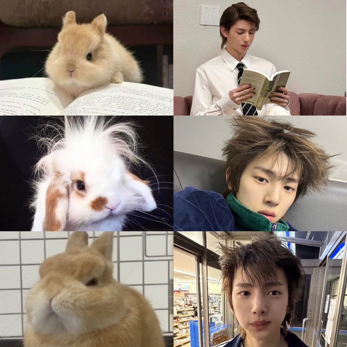 worktoobe's tweet photo. ⠀  ⠀     (\__/)
              (•ㅅ•)  ⋆. 𐙚 ˚𝓶𝔂  𝓵𝓲𝓽𝓽𝓵𝓮  𝓳𝓳𝓾 ☘︎ ˖
     ＿ノヽ ノ＼＿   
`/　`/ ⌒Ｙ⌒ Ｙ  ヽ     
( 　(三ヽ人　 /　  |
|      ﾉ⌒＼ ￣￣ヽノ
ヽ＿＿＿＞､＿／  
        ｜( 王 ﾉ〈   
        /ﾐ`ー―彡\  
      / ╰    ╯  \ / https://t.co/WhCUmA6mnG